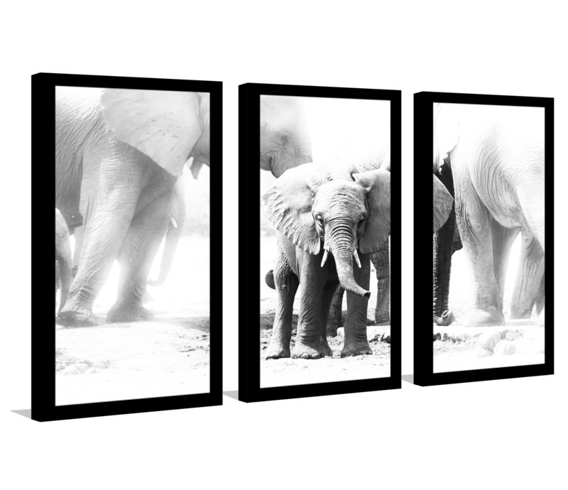 « baby éléphant », ensemble de 3 reproductions d’art encadrées, H 25,5 po x l 40,5 po x P 1 po