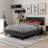 Tussey Tufted Upholstered Low Profile Platform Bed-21119947-21119943