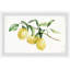 Three Lemons - Single Picture Frame Painting-1845140434