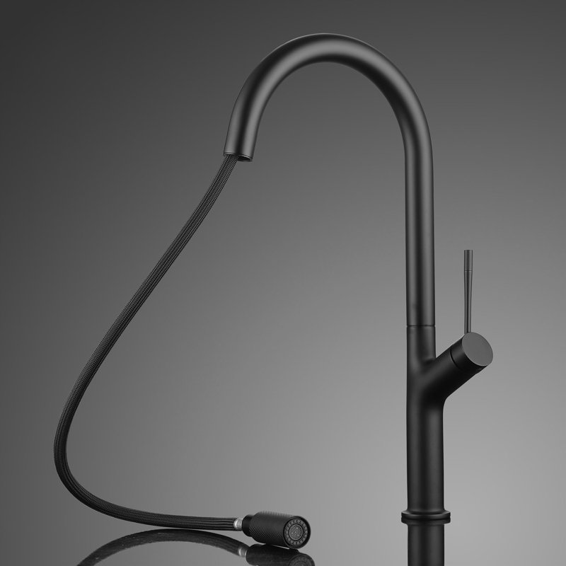 Maestro Bath Palm Pull Out Kitchen Faucet, Black