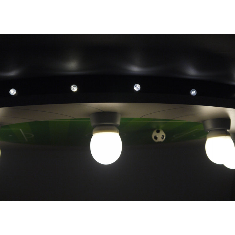 Donaldson Flush Mount