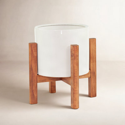 Finnegan 10" Pot Planter