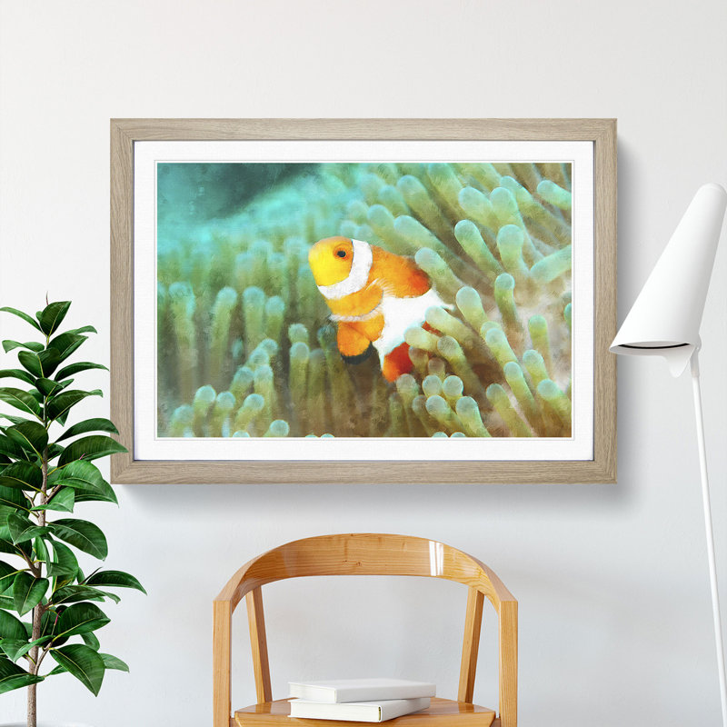 Clownfish Vol.1 - Picture Frame Graphic Art, Oak Framed, 36cm H x 48cm W x 2cm D