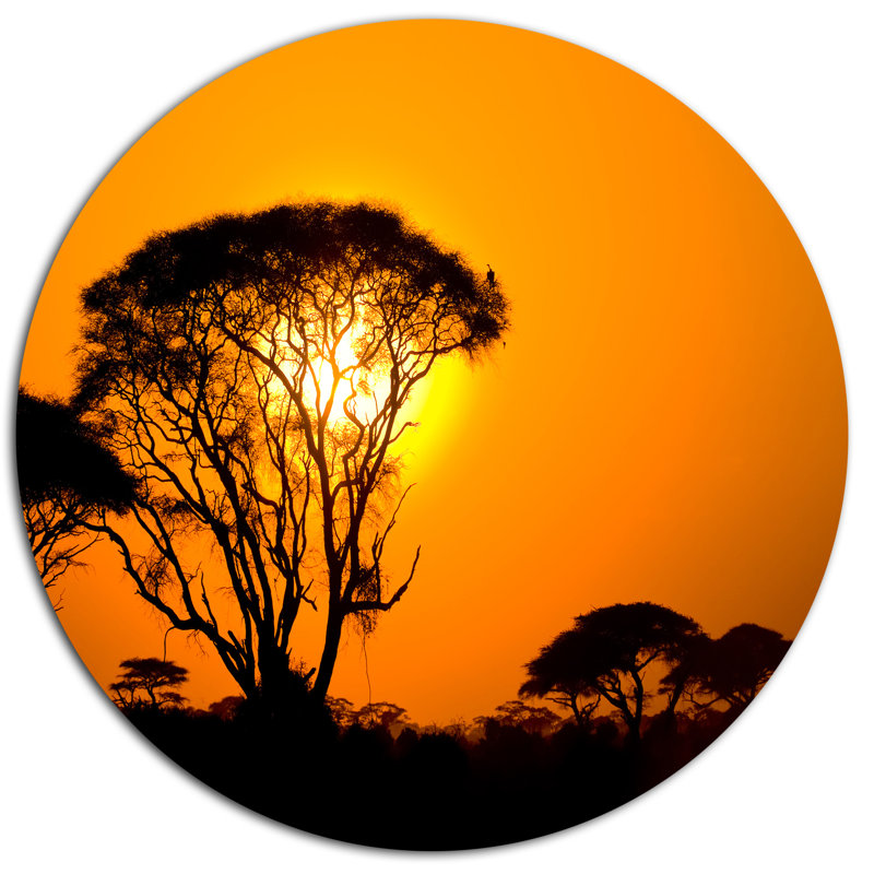 «Beautiful African Sunset in Savannah», reproduction de photo sur métal, H 36 po x l 36 po x P 1 po