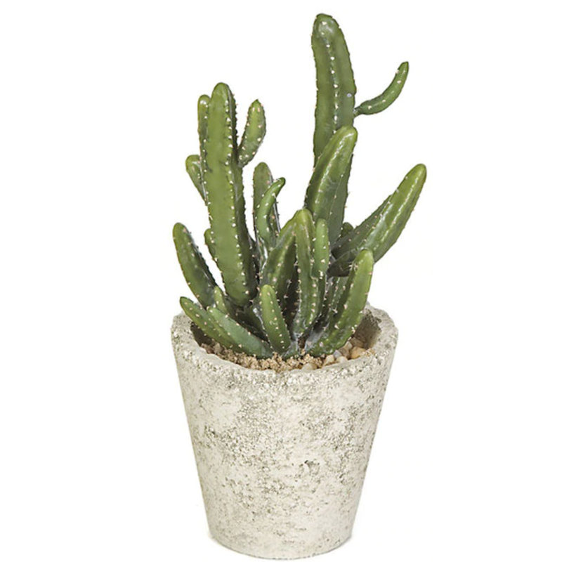 Faux Cactus Plant in Earthenware Pot