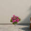 Geranium Bush Silk Plant