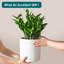 FLHPOT Ceramic Pot Planter