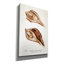 Toile épique Graffiti «Sienna Shell Collector 3» par Annie Warren, 18 po x 26 po-1961352472