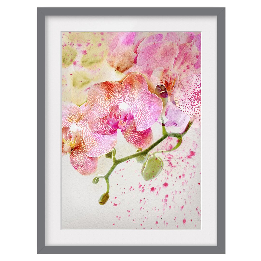 Gerahmtes Papierbild Aquarell Blumen Orchideen