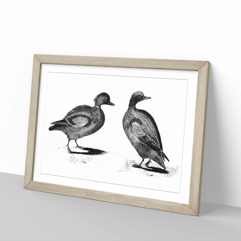 Two Ducks in Black & White by Johan Teyler - Framed Print, Oak Framed, 36cm H x 48cm W x 2cm D