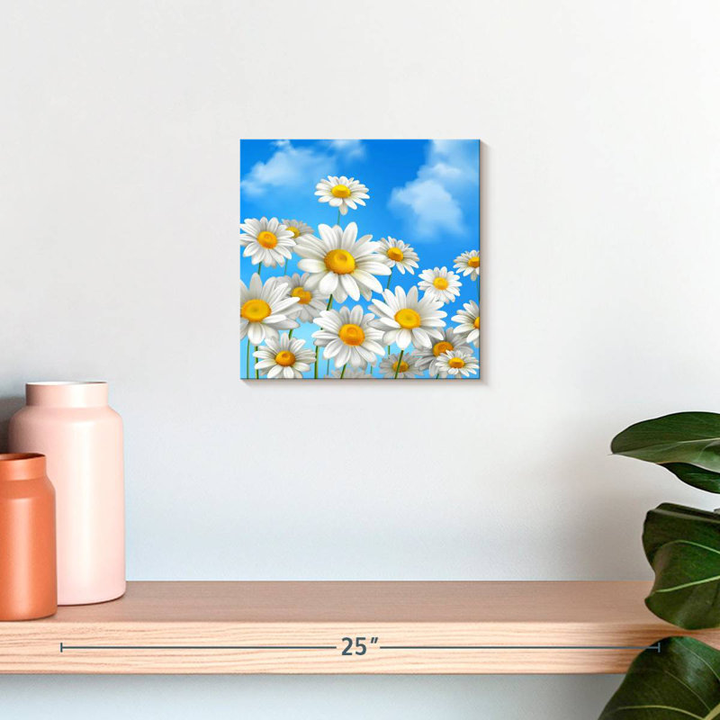 Marguerites bleu ciel Harnek, H 10 po x l 10 po