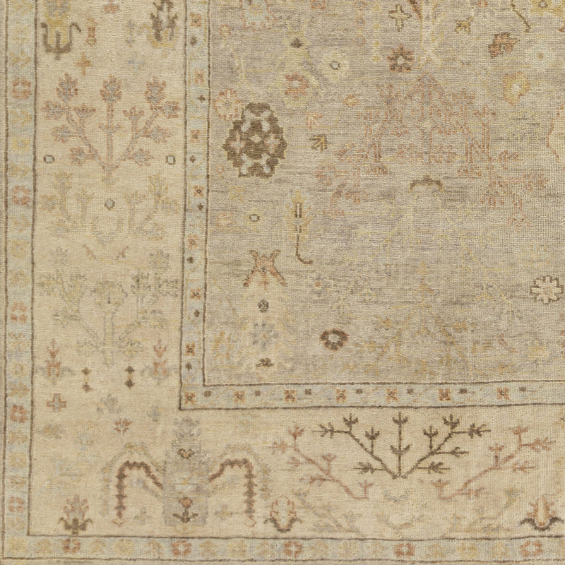 Normandy Wool Oriental Area Rug, Rectangle 9' x 13'