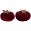 Velvet Pumpkin Decorative Accent-70723910