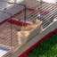 Rabbit Cage-65640383