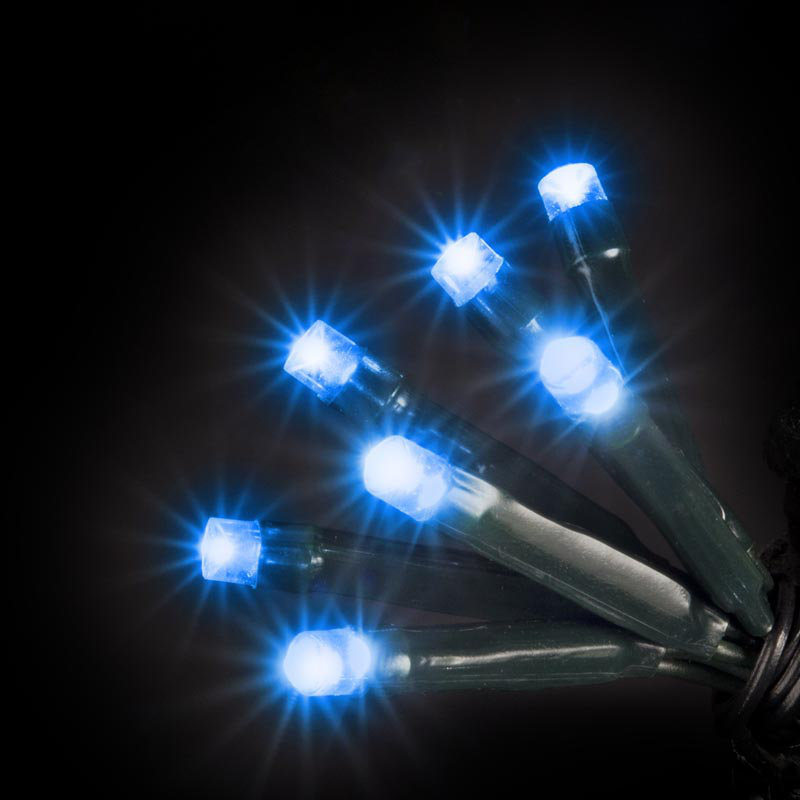 String Lights, Electric Blue