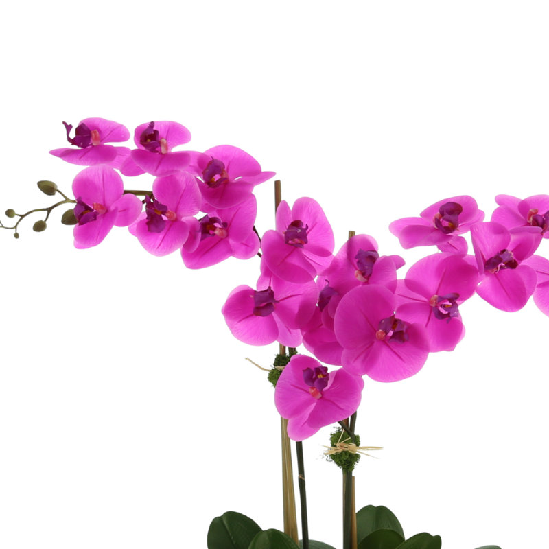 Orchids In A White Container With Rocks