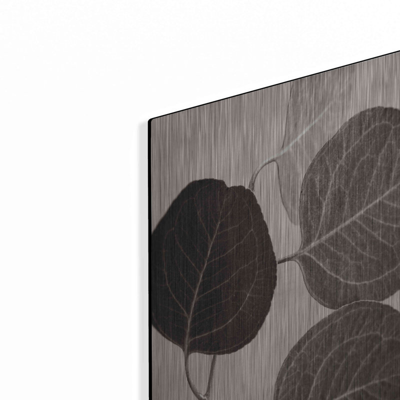 "Eucalyptus sépia" par Debra Van Swearingen, H 16 po x l 12 po