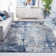 Haslett Abstract Indoor Rug