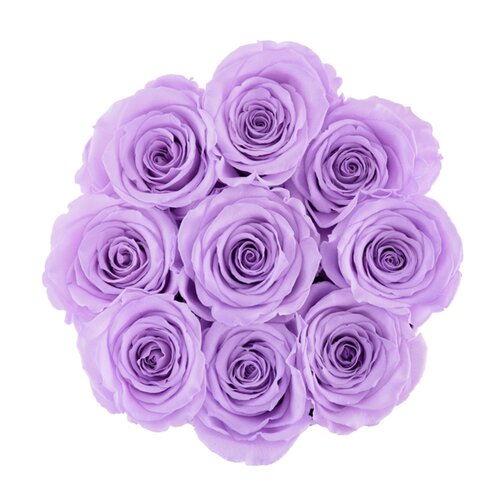 Rose Box NYC Roses Arrangement in Box & Reviews | Wayfair