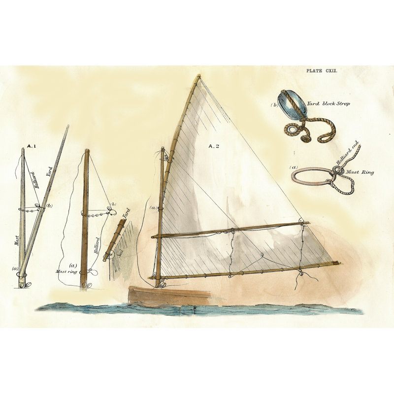 Nautilus I - Wrapped Canvas Print, 20cm H x 30cm W