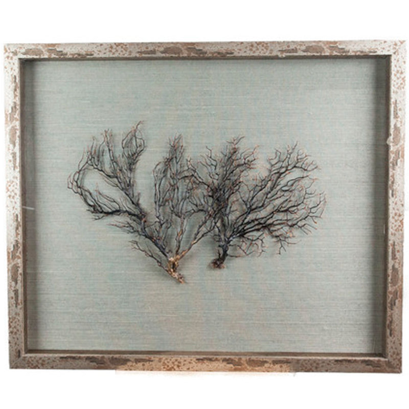 Sealife Print