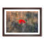 Red Poppy Flower - Framed Print-56758864-56758869