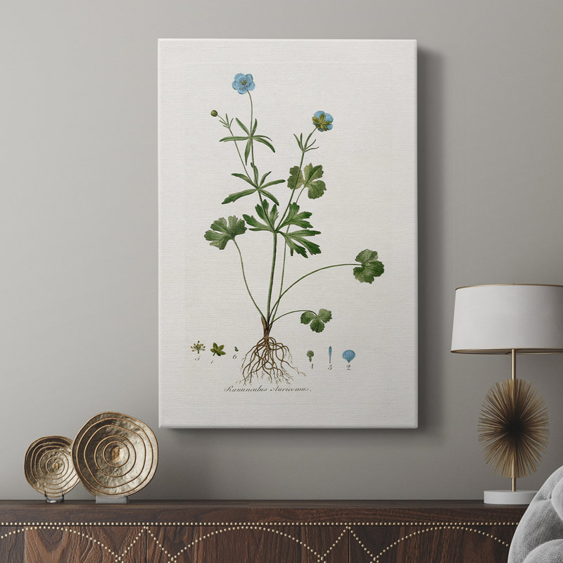 Buttercup Study -Custom Wrapped Gallery Cavas