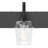 Ralbay Matte Black Bathroom Vanity Light Fixture 4-Light Industrial Wall Mount With Clear Glass Shades For Vintage Edison Bulbs-397975545-397975310-397975311