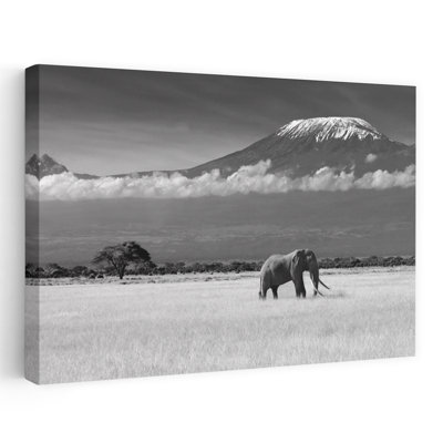 Lost Colors II Abstract Contemporary Elephant Animal Landscape Wall Art Print 1 Piece Wrapped Canvas Wall Art