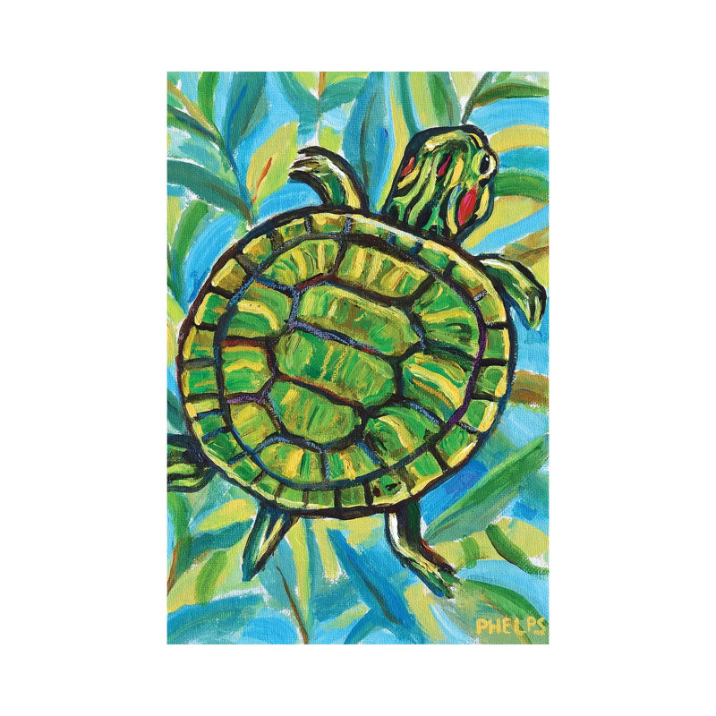 Slider Turtle by Robert Phelps - Gallery-Wrapped Canvas Giclée on Canvas, 20.32 cm H x 30.48 cm W, Canvas