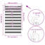 Semi Sheer Roller Blind-16938344-16938339