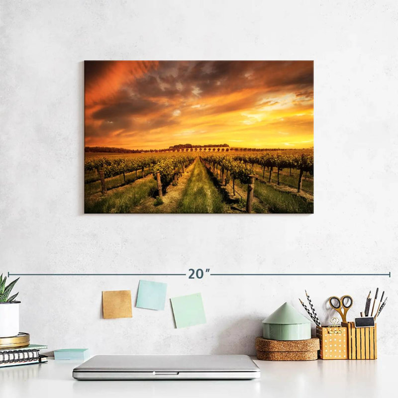 Alvord Barossa Valley Vineyard