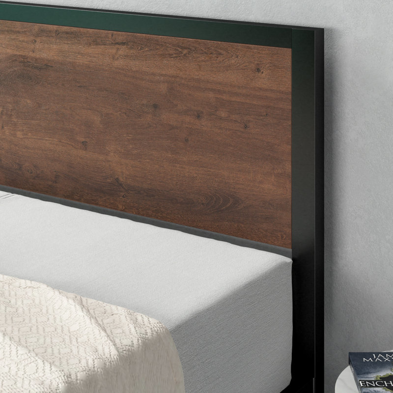 Raynia Metal Platform Bed, King