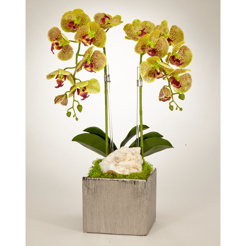 Arrangement floral orchidée en pot avec quartz, Vert