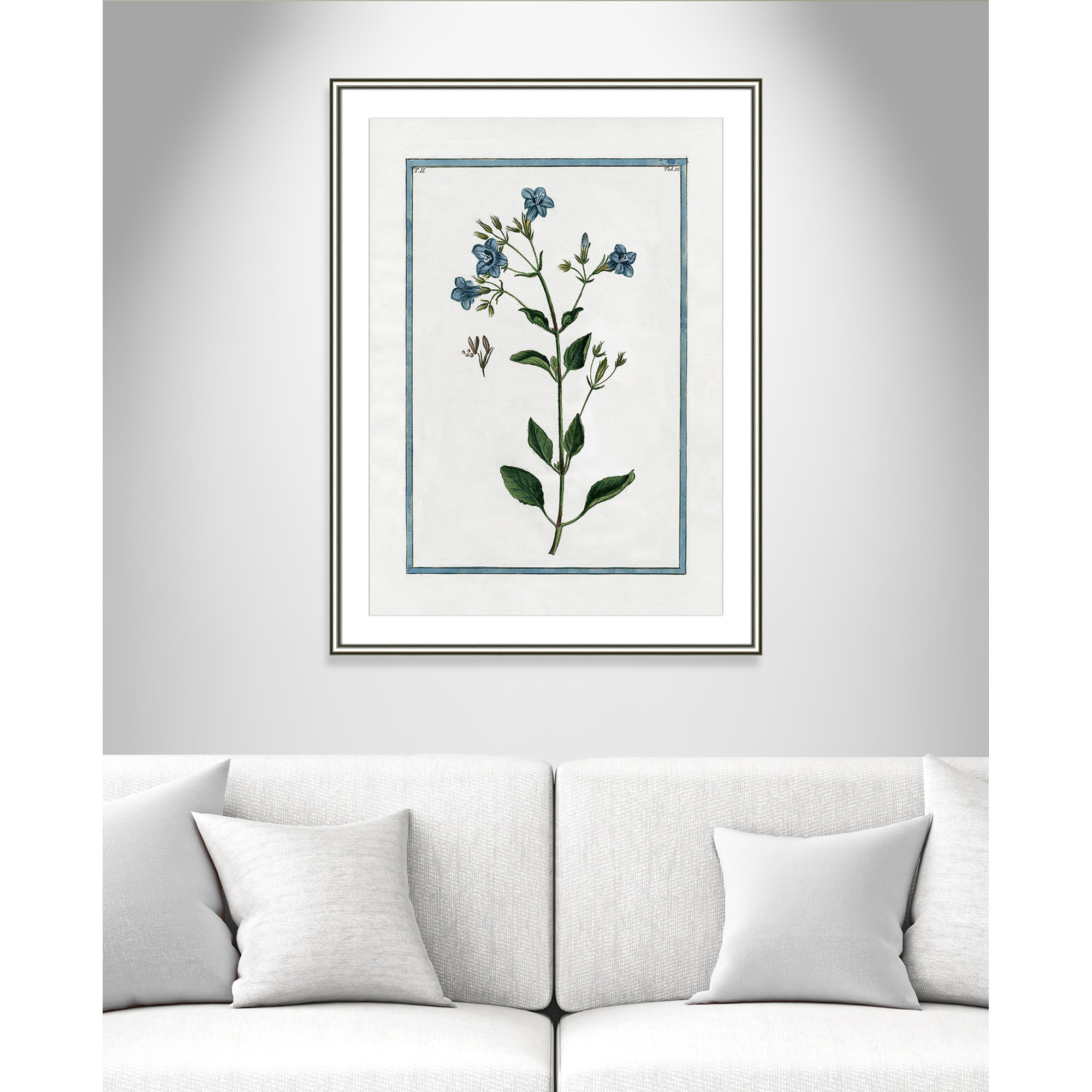 Shabby Elegance Botanical II - Framed Art, 26.75" W x 36.75" H, Silver Framed
