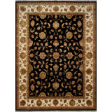 Agra Hand Knotted Oriental Area Rug in Black/Cream/Olive Green