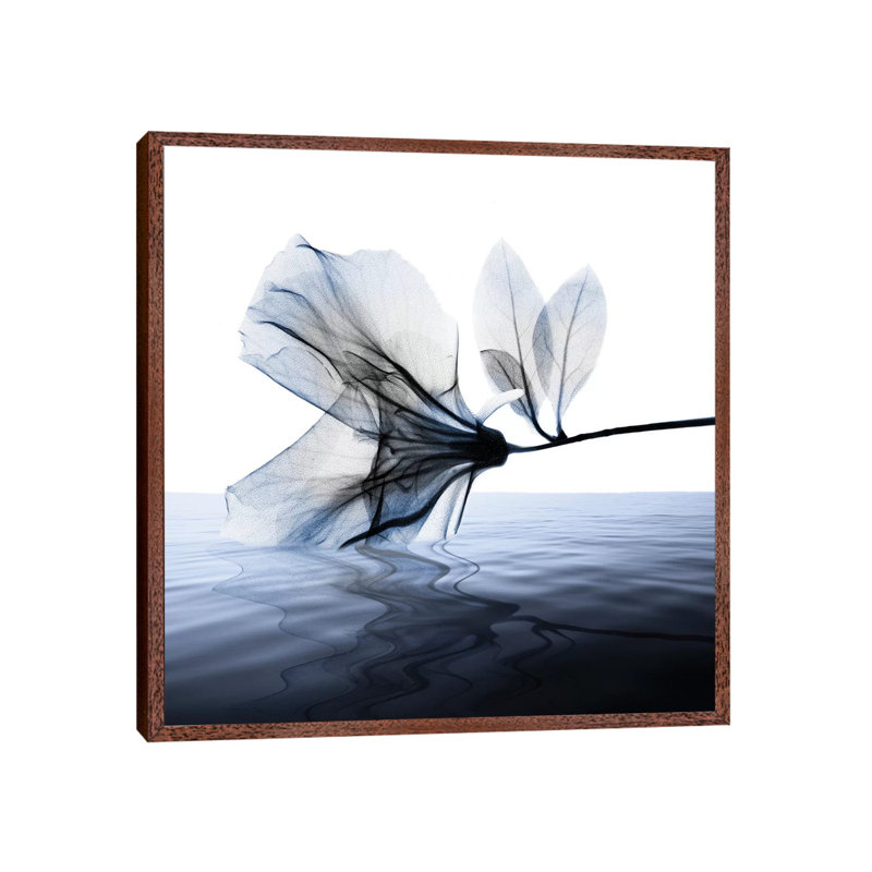 Ocean Scent I 1 Piece Wall Art on Canvas, 45.72 cm H x 45.72 cm W, Classic Brown Wood Framed