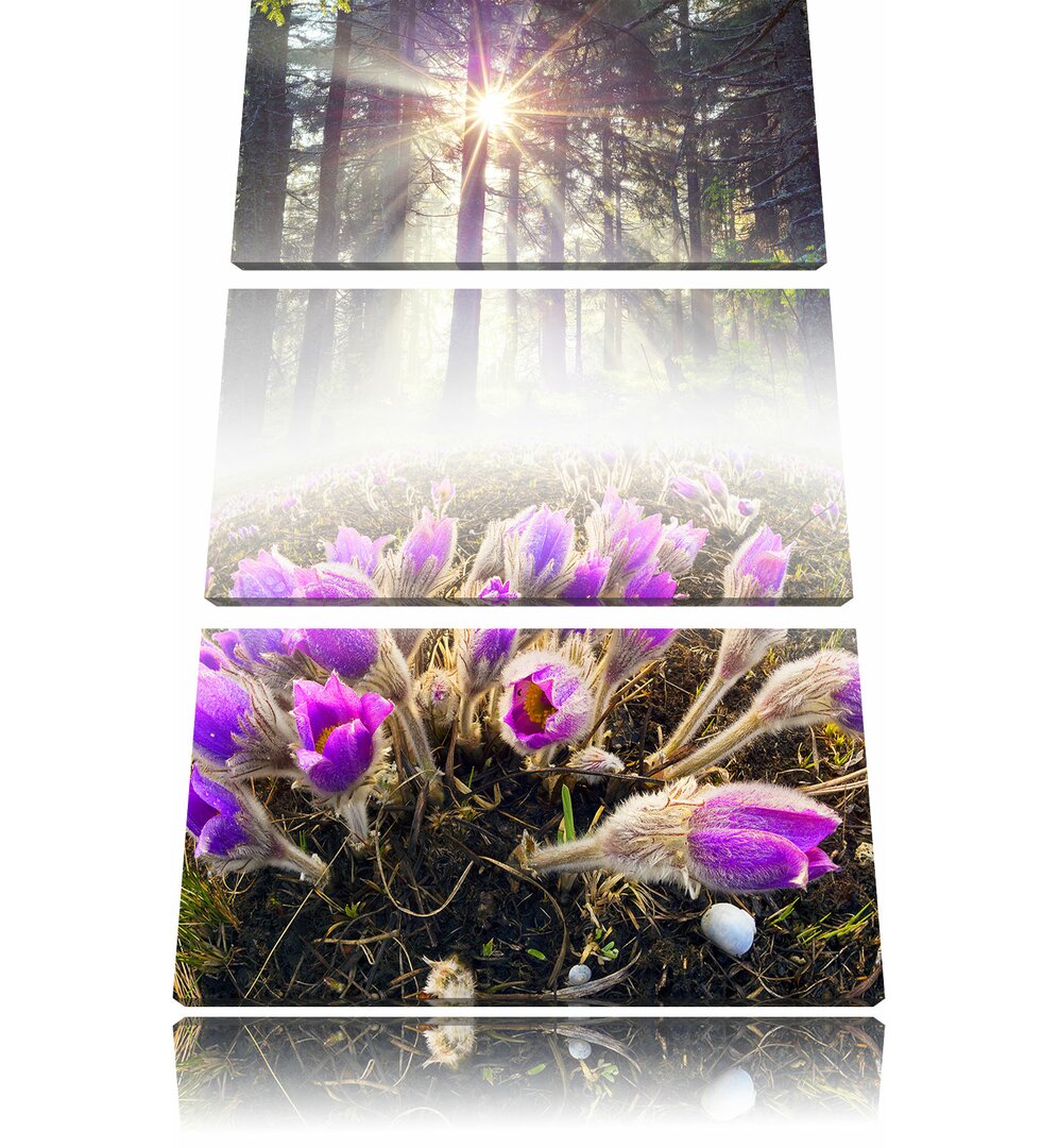 3-tlg. Leinwandbilder-Set Blühende lila Blumen im Wald, Fotodruck