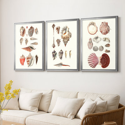 Shell Collection IV - Toile tendue avec châssis sur mesure - 3 pièces