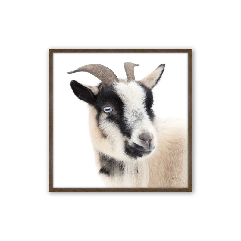 «Pippa The Goat I» par Deborah Revell, reproduction d'art, H 36 po x l 36 po, Brun
