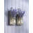 Gambrell 20 - Light LED Wall Light