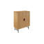 Janasha 2 - Door Standard Accent Cabinet