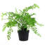 35cm Faux Plant in Pot Liner