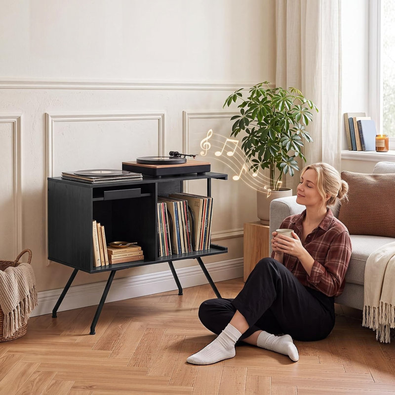 67.8 cm H Multimedia Storage, Black