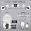 300'' Globe String Lights