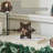Dark Wooden Snowflake-808156459
