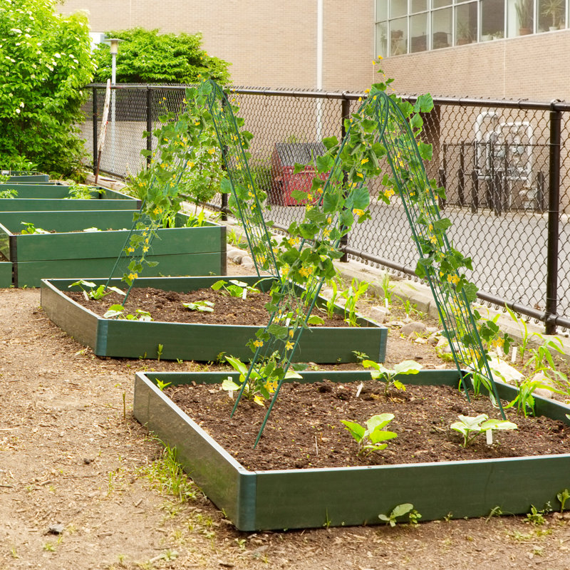 180cm W Metal Arched Trellis