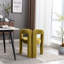 Chaises d'appoint pour salon, ensemble de 2-716143263-724132788