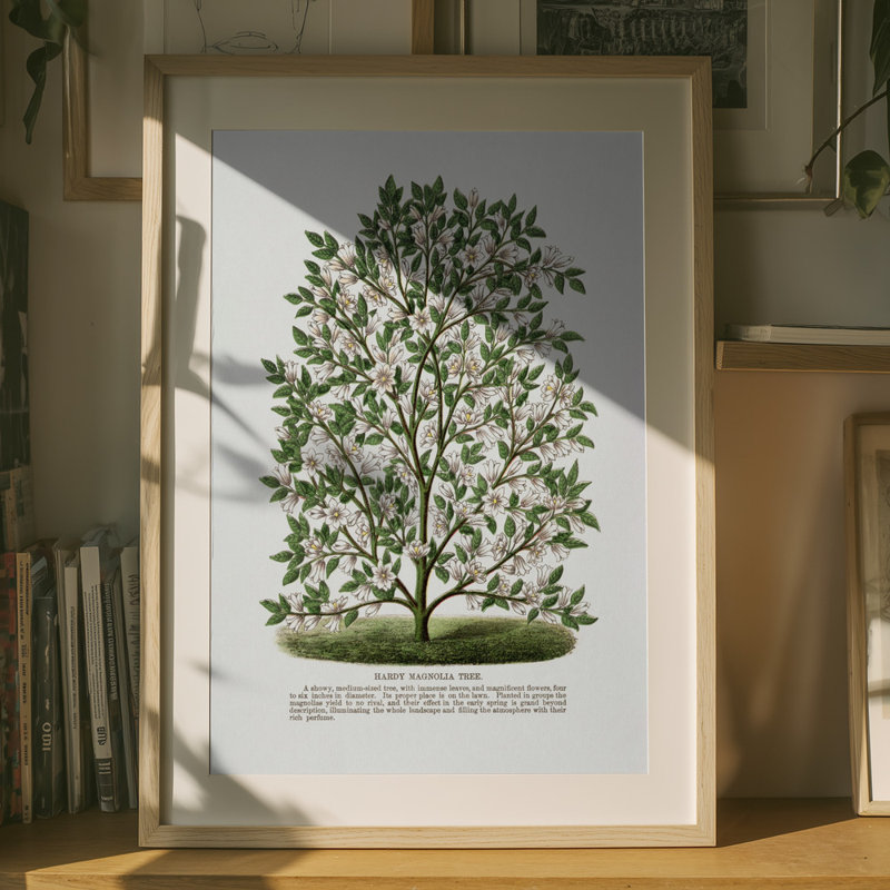 Wrapped Canvas Print, 76.2 cm H x 50.8 cm W