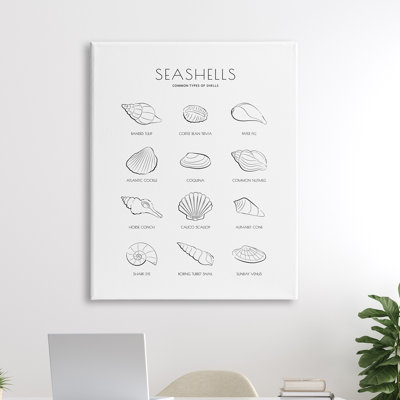 Guide nautique des coquillages